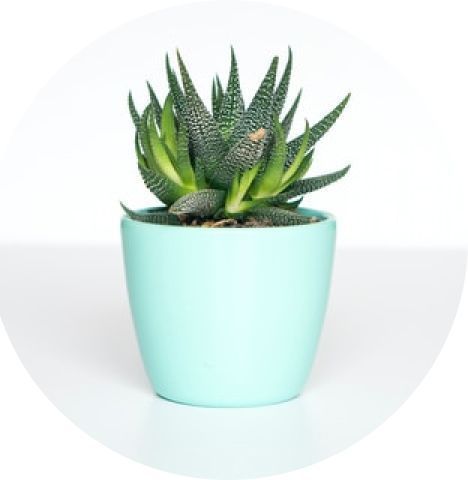 Pregledajte sve oglase